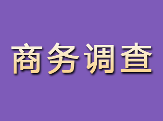 晋中商务调查